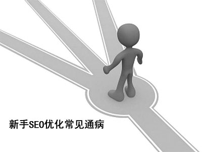 新手SEO優(yōu)化